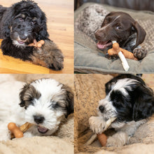 Load image into Gallery viewer, New! PUPPY PACK includes Hold-a-Chew, Collagen Twists, Bully Sticks, Training Bites & Training Tip Card