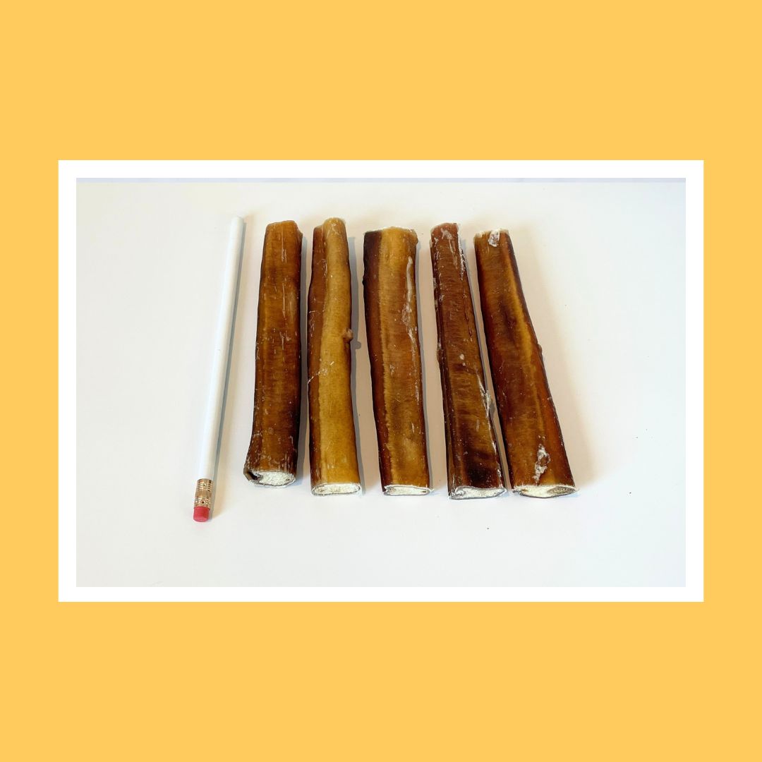 Large bully sticks best sale